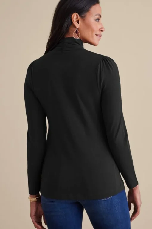Best Soft Surroundings Emme Turtleneck Top