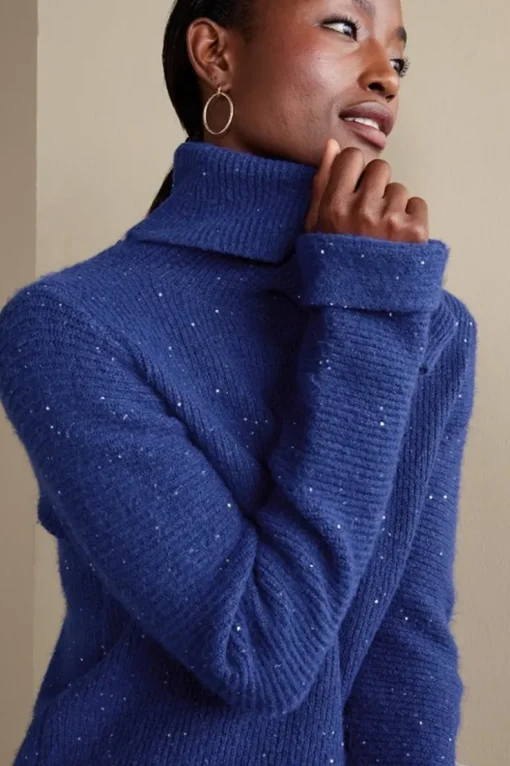 Clearance Soft Surroundings Linley Sequin Sweater