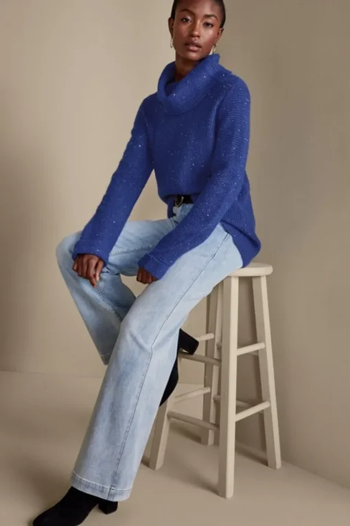 Clearance Soft Surroundings Linley Sequin Sweater