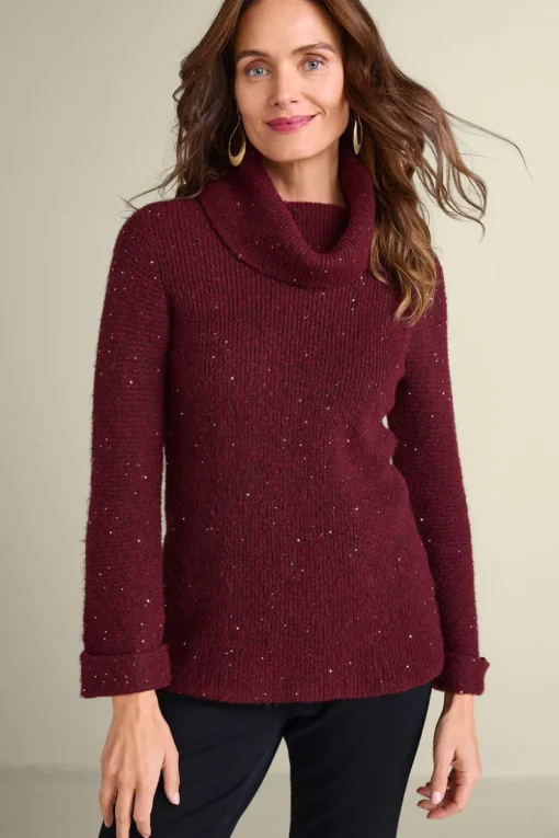 Clearance Soft Surroundings Linley Sequin Sweater