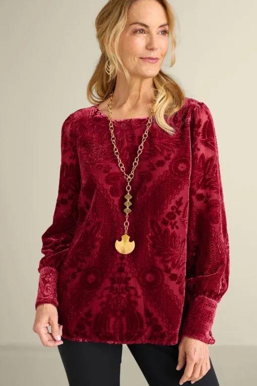 Outlet Soft Surroundings Vanetta Velvet Top