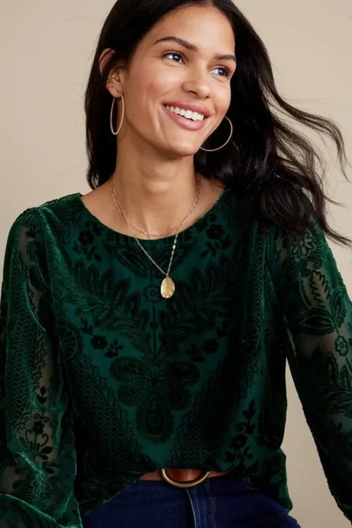 Outlet Soft Surroundings Vanetta Velvet Top