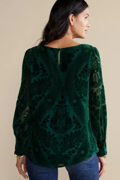 Outlet Soft Surroundings Vanetta Velvet Top